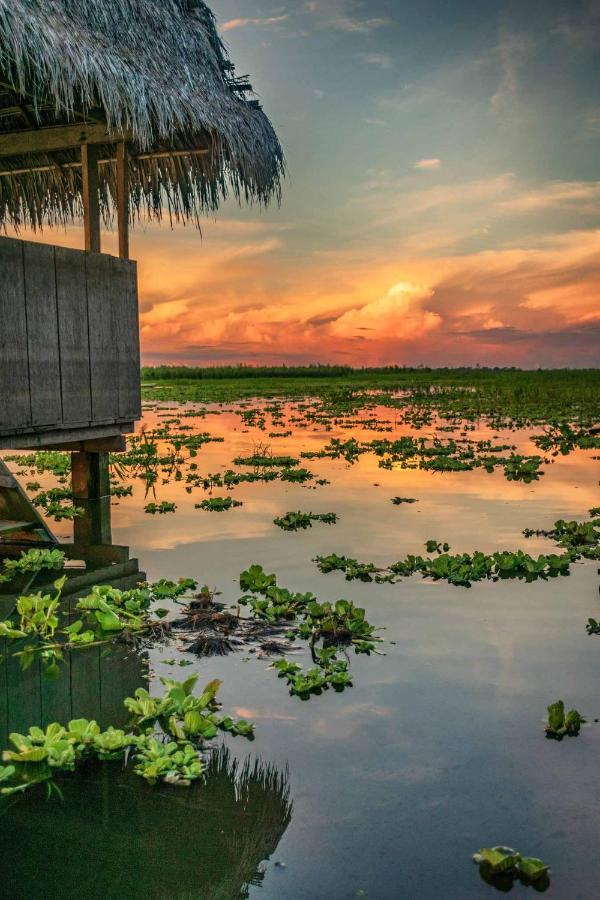 Libertad Jungle Lodge Yucuruche Eksteriør bilde