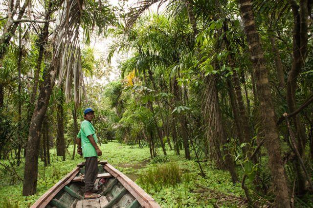 Libertad Jungle Lodge Yucuruche Eksteriør bilde