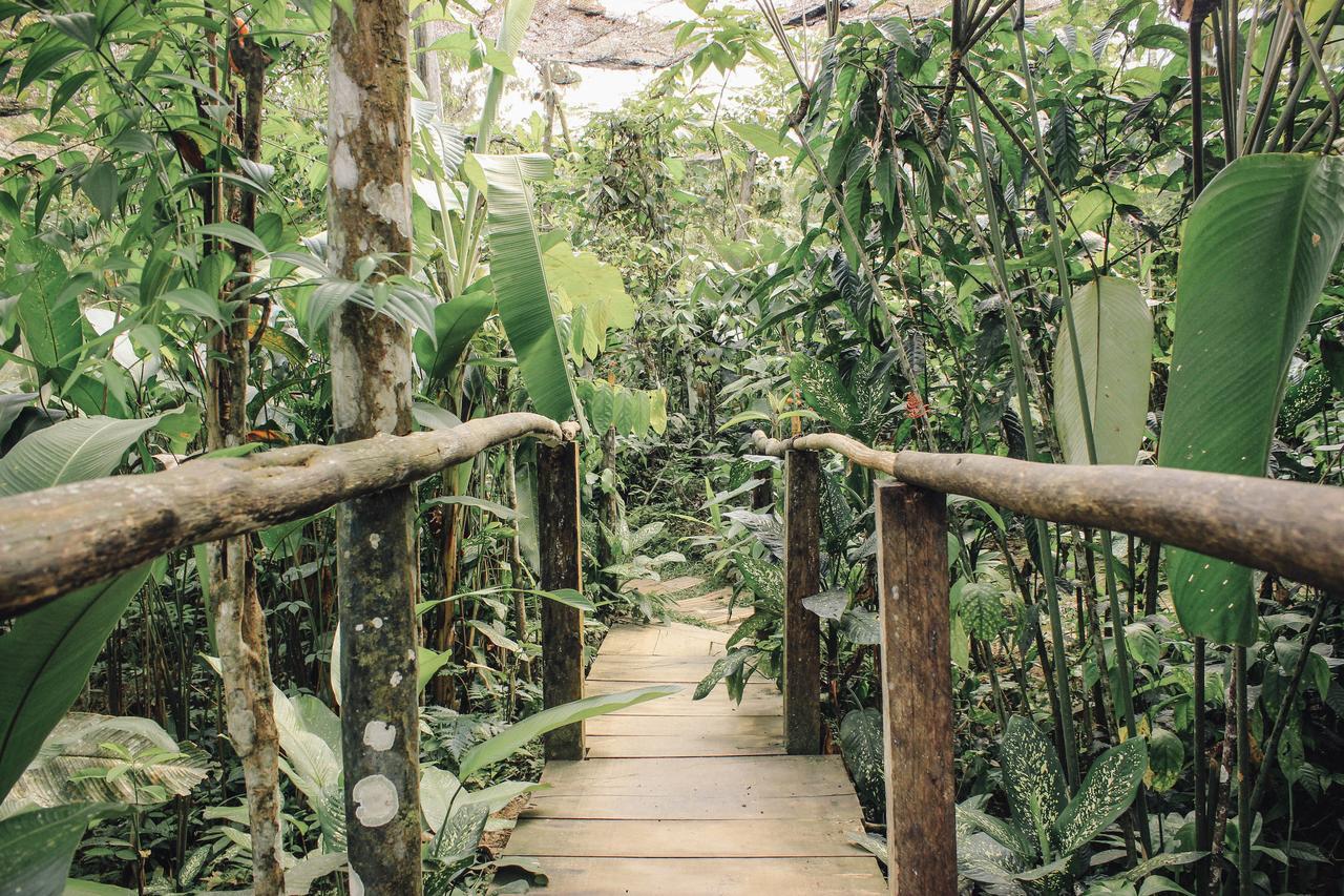 Libertad Jungle Lodge Yucuruche Eksteriør bilde