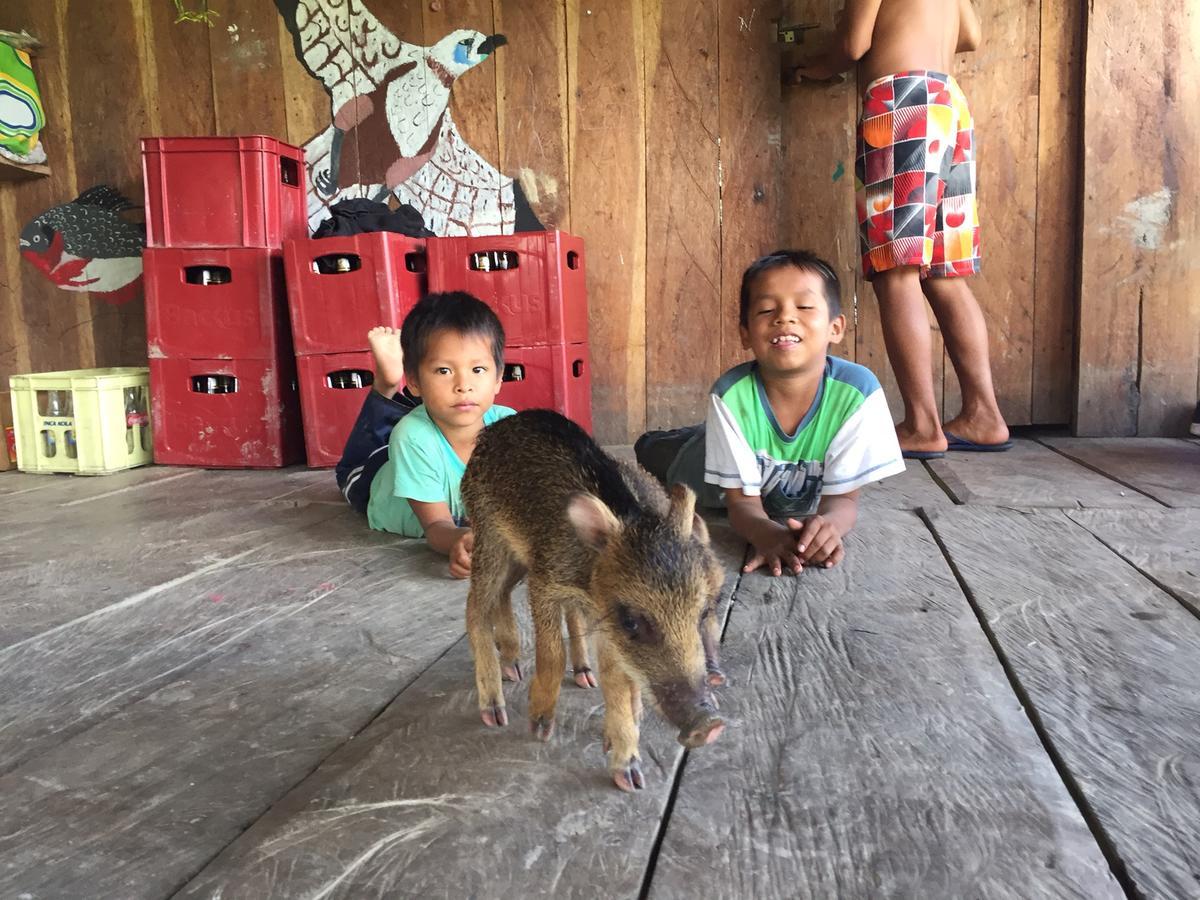 Libertad Jungle Lodge Yucuruche Eksteriør bilde